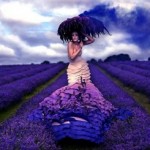 purple-wedding-ombre_thumb.jpg