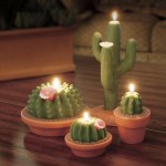 mexican-potted-cactus-centerpiece.jpg
