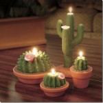 mexican-potted-cactus-centerpiece_thumb.jpg