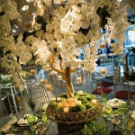 potted-orchids-eco-friendly-wedding-centerpiece-idea.jpg