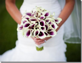 white and purple calla lilies