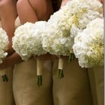 white-hydrangea-bouquets_thumb.jpg