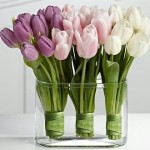 white-tulips.jpg