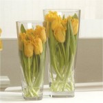 yellow-tulips.jpg