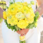 yellow-rananculus-bouquet.jpg